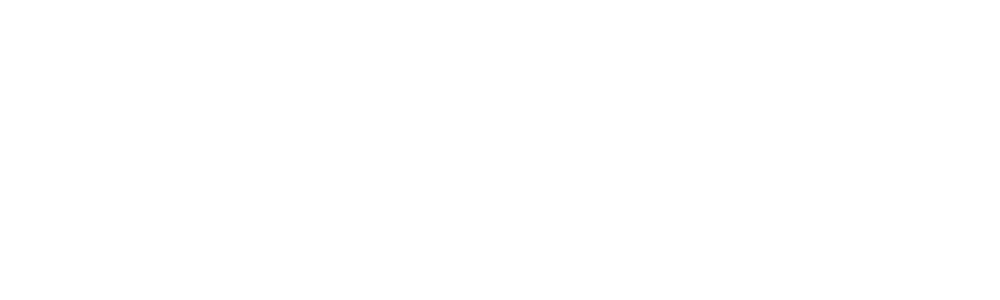 Anasayfa